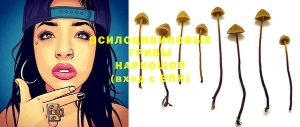 твердый Балахна