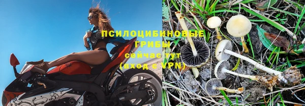 тгк Баксан