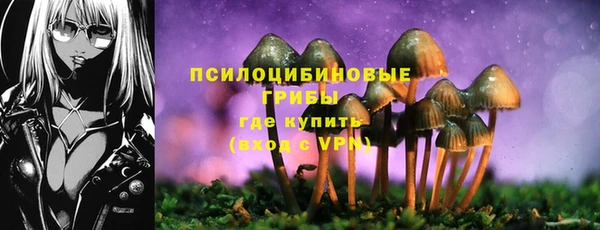 СК Балабаново