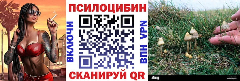 Галлюциногенные грибы Cubensis Купить Беломорск